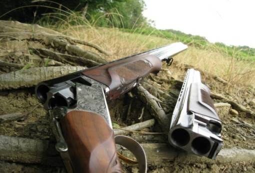 Σύλληψη 45χρονου στη Μάνη για παράνομη κατοχή όπλων