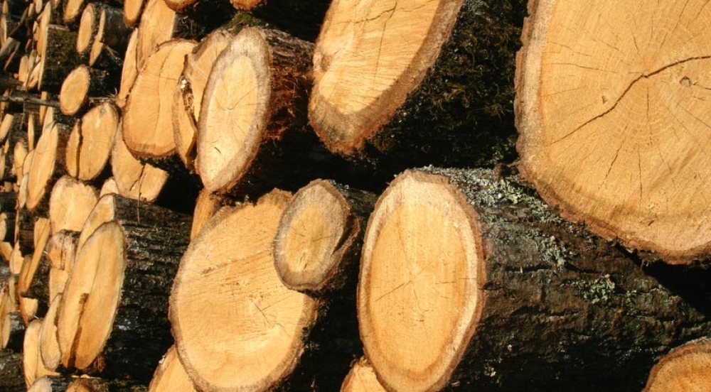 &Tau;&alpha; &kappa;&alpha;&upsilon;&sigma;ό&xi;&upsilon;&lambda;&alpha; &laquo;έ&kappa;&alpha;&psi;&alpha;&nu;&raquo; &epsilon;&pi;ί&delta;&omicron;&xi;&omicron;&upsilon;&sigmaf;&hellip; &epsilon;&pi;&iota;&delta;&rho;&omicron;&mu;&epsilon;ί&sigmaf;  &sigma;&tau;&iota;&sigmaf; &Alpha;&mu;ύ&kappa;&lambda;&epsilon;&sigmaf;