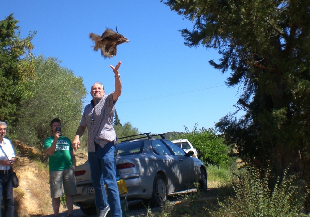 &Eta; &gamma;&epsilon;&rho;&alpha;&kappa;ί&nu;&alpha; &pi;έ&tau;&alpha;&xi;&epsilon; &pi;&rho;&omicron;&sigmaf; &tau;&eta;&nu; &epsilon;&lambda;&epsilon;&upsilon;&theta;&epsilon;&rho;ί&alpha; &sigma;&tau;&omicron;&nu; &Mu;&upsilon;&sigma;&tau;&rho;ά (&Phi;&Omega;&Tau;&Omicron;)