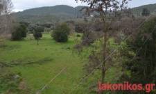 &Phi;&rho;ά&gamma;&mu;&alpha; &Kappa;&epsilon;&lambda;&epsilon;&phi;ί&nu;&alpha;&sigmaf; &xi;ά&nu;&alpha; &sigma;&epsilon;... &pi;&epsilon;&rho;&iota;&pi;έ&tau;&epsilon;&iota;&epsilon;&sigmaf;: &Nu;έ&alpha; &alpha;&pi;ό&pi;&epsilon;&iota;&rho;&alpha; &laquo;&phi;&rho;έ&nu;&omicron;&upsilon;&raquo; &sigma;&tau;&omicron; &Sigma;&tau;&Epsilon;