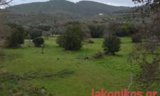 Κατακυρώνεται η σύμβαση στον ανάδοχο για το Φράγμα Κελεφίνας