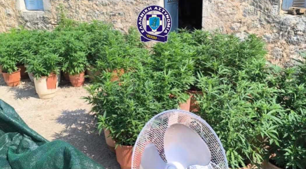 Ανατολική Μάνη: Φυτεία και πολεμικός εξοπλισμός στο σπίτι 70χρονου