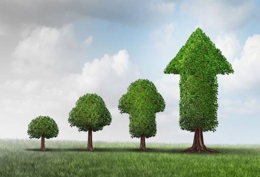 Από την παράδοση στην καινοτομία: Εκδήλωση για την τοπική ανάπτυξη και την επιχειρηματικότητα στη Βαμβακού