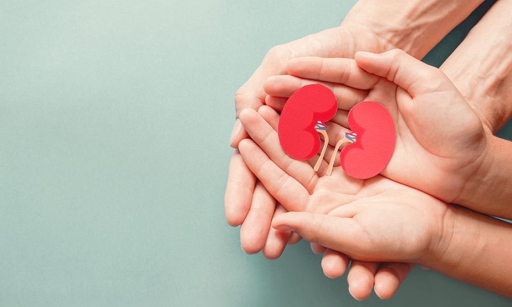 &Epsilon;&theta;&nu;&iota;&kappa;ή &eta; &upsilon;&pi;ό&theta;&epsilon;&sigma;&eta; &tau;&omega;&nu; &mu;&epsilon;&tau;&alpha;&mu;&omicron;&sigma;&chi;&epsilon;ύ&sigma;&epsilon;&omega;&nu; &kappa;&alpha;&iota; &tau;&eta;&sigmaf; &delta;&omega;&rho;&epsilon;ά&sigmaf; &omicron;&rho;&gamma;ά&nu;&omega;&nu;