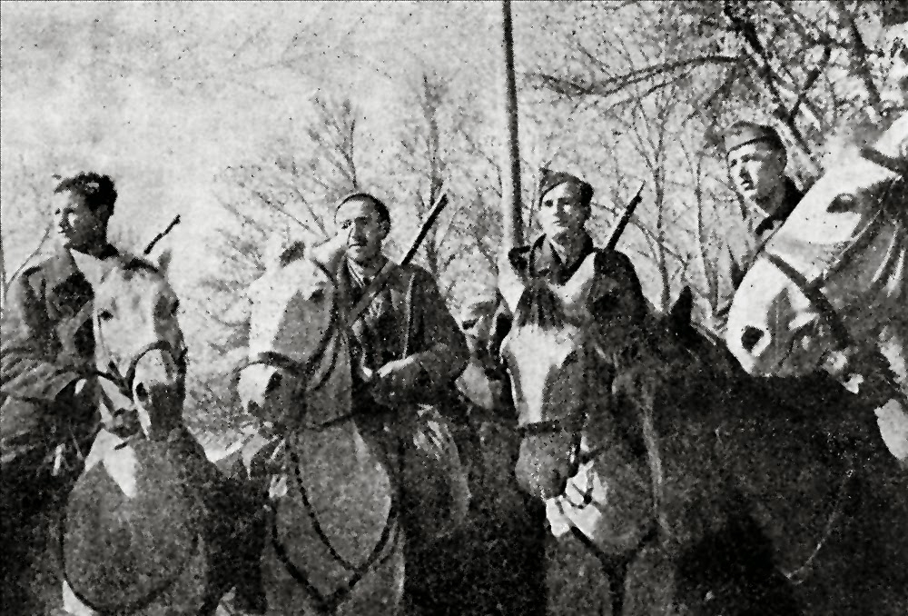 &Eta; &Sigma;&pi;ά&rho;&tau;&eta; &tau;&iota;&mu;ά &tau;&eta;&nu; &Eta;&mu;έ&rho;&alpha; &Epsilon;&theta;&nu;&iota;&kappa;ή&sigmaf; &Alpha;&nu;&tau;ί&sigma;&tau;&alpha;&sigma;&eta;&sigmaf;