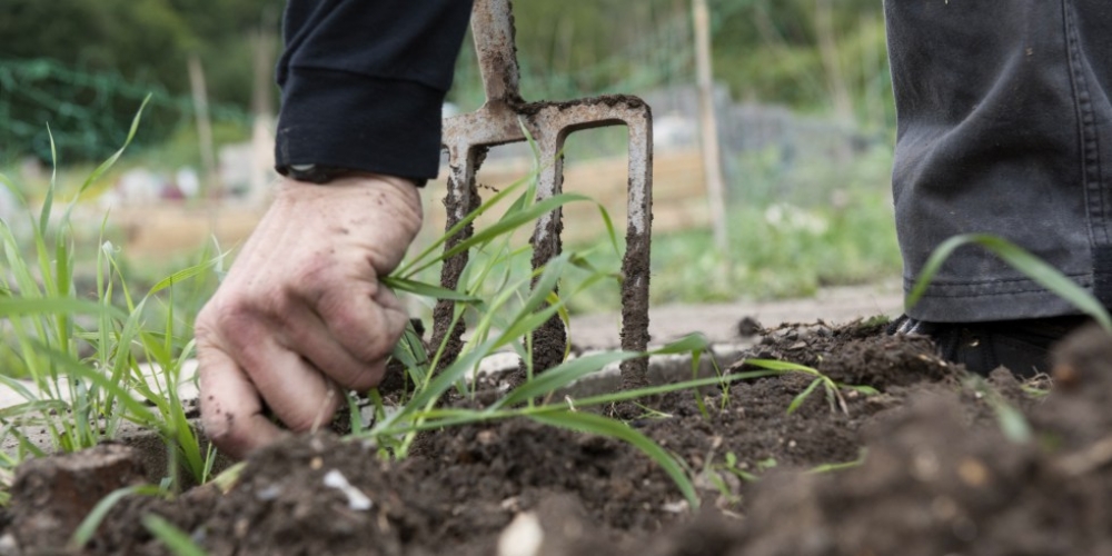&Pi;&rho;&omicron;&sigma;&lambda;ή&psi;&epsilon;&iota;&sigmaf; 20 &epsilon;&pi;&omicron;&chi;&iota;&alpha;&kappa;ώ&nu; &epsilon;&rho;&gamma;&alpha;&tau;ώ&nu; &sigma;&tau;&omicron; &Delta;. &Sigma;&pi;ά&rho;&tau;&eta;&sigmaf;