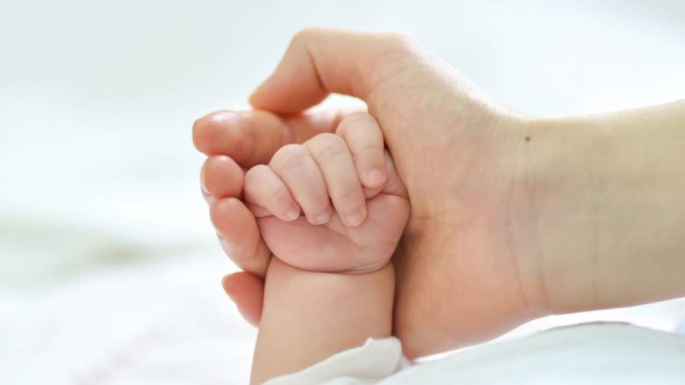 &Xi;&epsilon;&kappa;ί&nu;&eta;&sigma;&alpha;&nu; &omicron;&iota; &alpha;&iota;&tau;ή&sigma;&epsilon;&iota;&sigmaf; &gamma;&iota;&alpha; &tau;&omicron; &epsilon;&pi;ί&delta;&omicron;&mu;&alpha; &pi;&alpha;&iota;&delta;&iota;&omicron;ύ