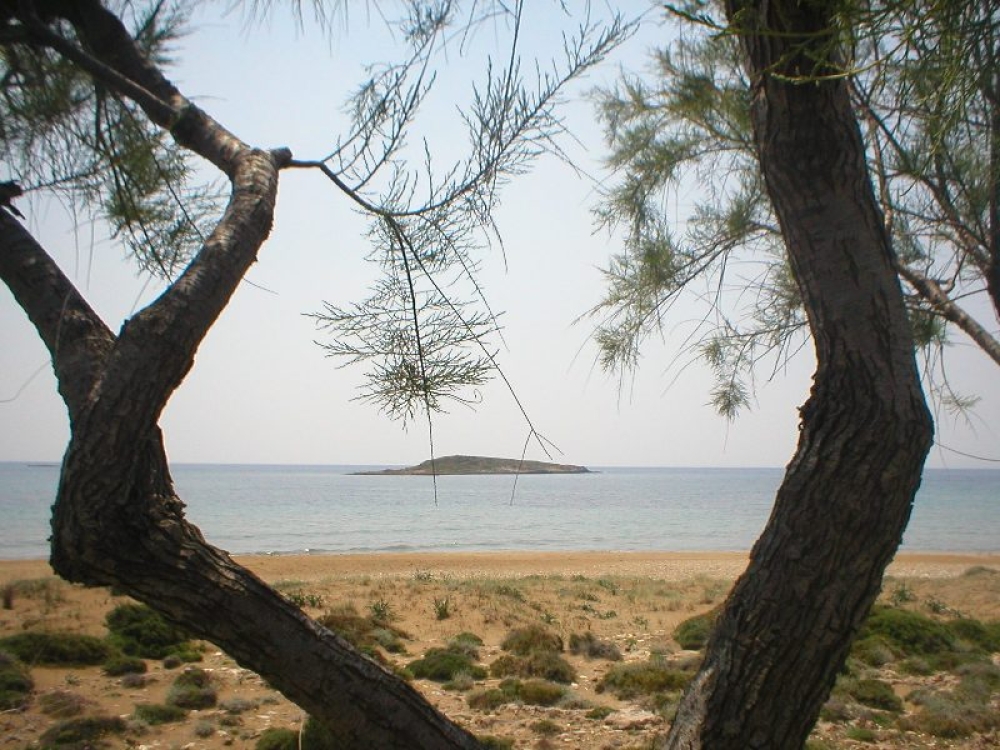 &Lambda;&alpha;&kappa;&epsilon;-&Delta;&alpha;&iota;&mu;&omicron;&nu;&iota;&kappa;ά: &Tau;&omicron; &mu;&alpha;&rho;&mu;&alpha;&rho;&omega;&mu;έ&nu;&omicron; &kappa;&alpha;&rho;ά&beta;&iota; &tau;&omicron;&upsilon; &Mu;&alpha;&rho;&alpha;&theta;&iota;ά