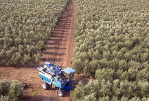 Περικοπή 45% στα κονδύλια προώθησης αγροτικών προϊόντων προκαλεί αντιδράσεις στην ΕΕ