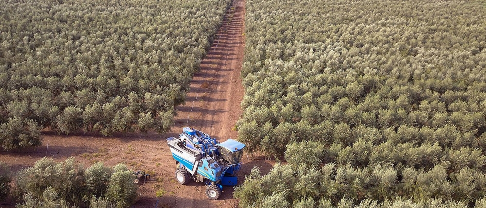 &Pi;&epsilon;&rho;&iota;&kappa;&omicron;&pi;ή 45% &sigma;&tau;&alpha; &kappa;&omicron;&nu;&delta;ύ&lambda;&iota;&alpha; &pi;&rho;&omicron;ώ&theta;&eta;&sigma;&eta;&sigmaf; &alpha;&gamma;&rho;&omicron;&tau;&iota;&kappa;ώ&nu; &pi;&rho;&omicron;ϊό&nu;&tau;&omega;&nu; &pi;&rho;&omicron;&kappa;&alpha;&lambda;&epsilon;ί &alpha;&nu;&tau;&iota;&delta;&rho;ά&sigma;&epsilon;&iota;&sigmaf; &sigma;&tau;&eta;&nu; &Epsilon;&Epsilon;