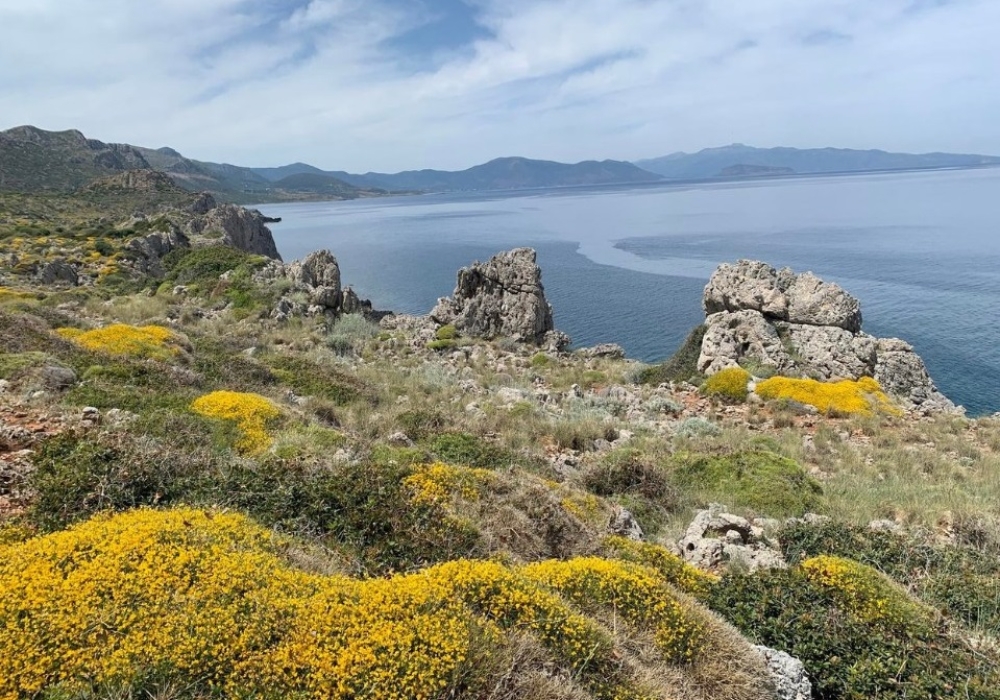 &Pi;&epsilon;&rho;ί&pi;&alpha;&tau;&omicron;&sigmaf; &sigma;&epsilon; &Iota;&sigma;&tau;&omicron;&rho;ί&alpha;-&Phi;ύ&sigma;&eta;-&Pi;&omicron;&lambda;&iota;&tau;&iota;&sigma;&mu;ό  &sigma;&tau;&omicron;&nu; &Mu;&alpha;&lambda;έ&alpha; &mu;&epsilon; &tau;&omicron;&upsilon;&sigmaf; &Epsilon;&Omicron;&Sigma; &Mu;&omicron;&lambda;ά&omega;&nu; &kappa;&alpha;&iota; &Sigma;&pi;ά&rho;&tau;&eta;&sigmaf;