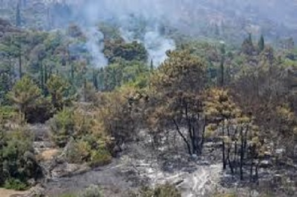 Φωτιά σε ξερόχορτα… «έκαψε» άνδρα σε περιοχή της Σπάρτης