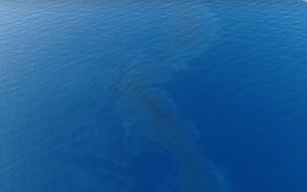 &Theta;&alpha;&lambda;ά&sigma;&sigma;&iota;&alpha; &rho;ύ&pi;&alpha;&nu;&sigma;&eta; &pi;&rho;&omicron;&kappa;ά&lambda;&epsilon;&sigma;&epsilon; &tau;&omicron; &nu;&alpha;&upsilon;ά&gamma;&iota;&omicron; &alpha;&nu;&alpha;&tau;&omicron;&lambda;&iota;&kappa;ά &tau;&eta;&sigmaf; &Lambda;&alpha;&kappa;&omega;&nu;ί&alpha;&sigmaf; (&Phi;&Omega;&Tau;&Omicron;)