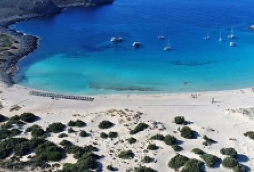 Εθελοντές καθαρίζουν το μοναδικό κεδρόδασος της Ελαφονήσου