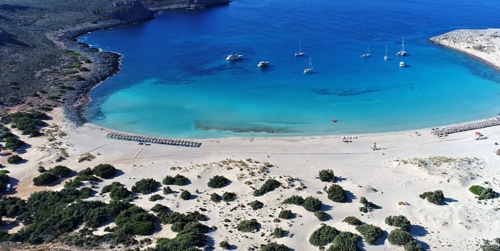 Εθελοντές καθαρίζουν το μοναδικό κεδρόδασος της Ελαφονήσου