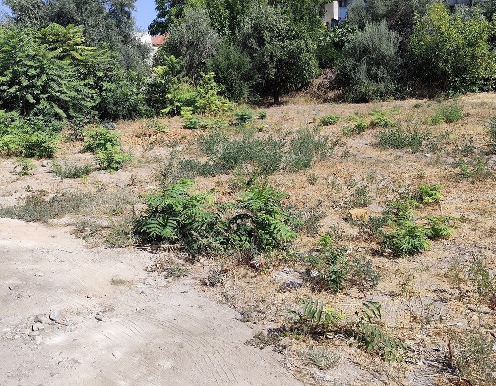 Το δικό σας σχόλιο: Πρόταση για τη δύσκολη εξίσωση του πάρκινγκ στο Γύθειο