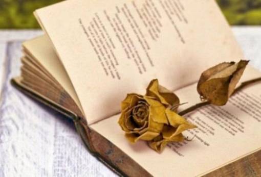 Παγκόσμια Ημέρα Ποίησης