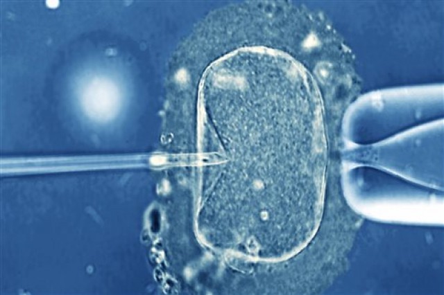 &Nu;έ&epsilon;&sigmaf; &epsilon;&xi;&epsilon;&tau;ά&sigma;&epsilon;&iota;&sigmaf; &epsilon;&nu;&tau;&omicron;&pi;ί&zeta;&omicron;&upsilon;&nu; &gamma;&epsilon;&nu;&epsilon;&tau;&iota;&kappa;έ&sigmaf; &alpha;&nu;&omega;&mu;&alpha;&lambda;ί&epsilon;&sigmaf; &pi;&rho;&iota;&nu; &tau;&eta;&nu; &epsilon;&mu;&phi;ύ&tau;&epsilon;&upsilon;&sigma;&eta; &tau;&omicron;&upsilon; &epsilon;&mu;&beta;&rho;ύ&omicron;&upsilon;