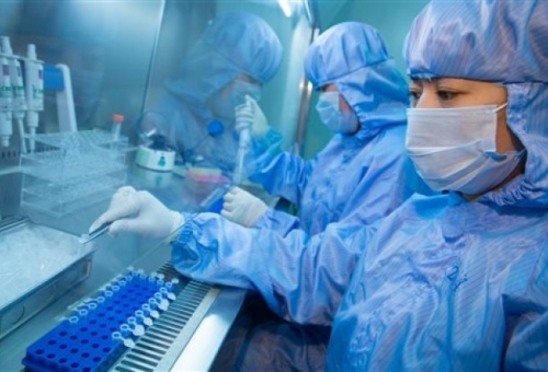 Γρήγορα μεταλλάσσεται ο ιός Έμπολα, όπως δείχνουν γενετικές αναλύσεις