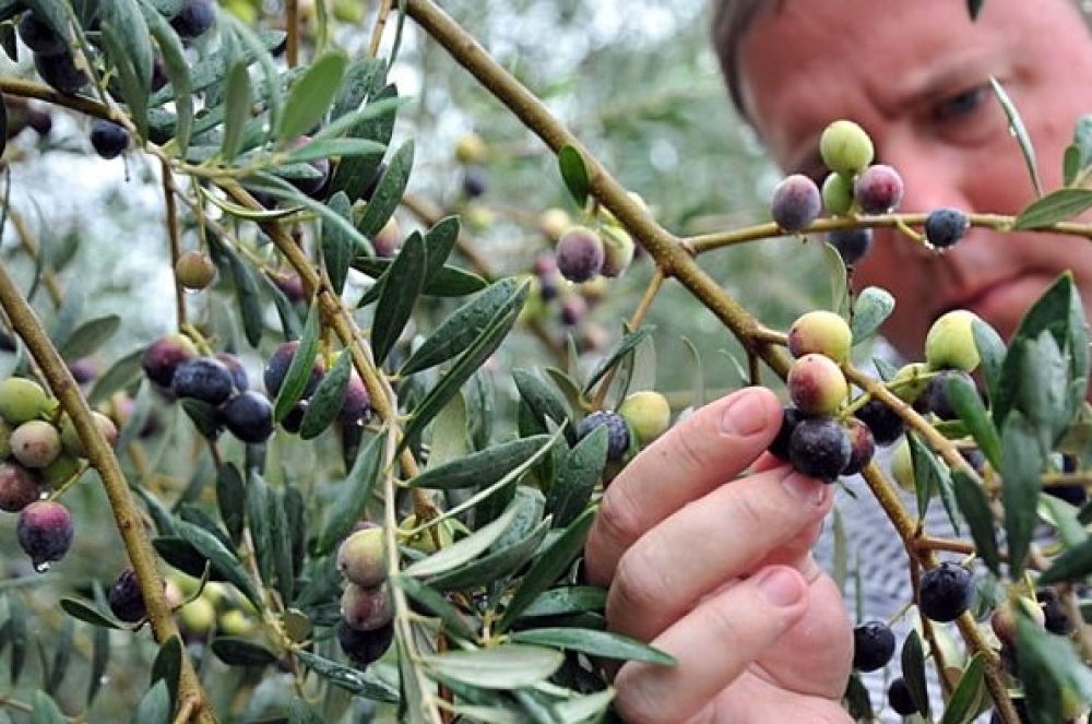 &Pi;&rho;ό&sigma;&lambda;&eta;&psi;&eta; 12 &alpha;&tau;ό&mu;&omega;&nu; &alpha;&pi;ό &tau;&eta; &Delta;&Alpha;&Omicron;&Kappa; &Lambda;&alpha;&kappa;&omega;&nu;ί&alpha;&sigmaf; &gamma;&iota;&alpha; &tau;&omicron; &pi;&rho;ό&gamma;&rho;&alpha;&mu;&mu;&alpha; &delta;&alpha;&kappa;&omicron;&kappa;&tau;&omicron;&nu;ί&alpha;&sigmaf; 2024