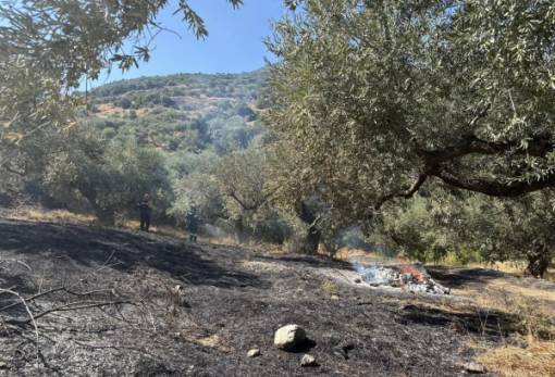 Νέα φωτιά εκδηλώθηκε στα Λειβάδια Μονεμβασίας