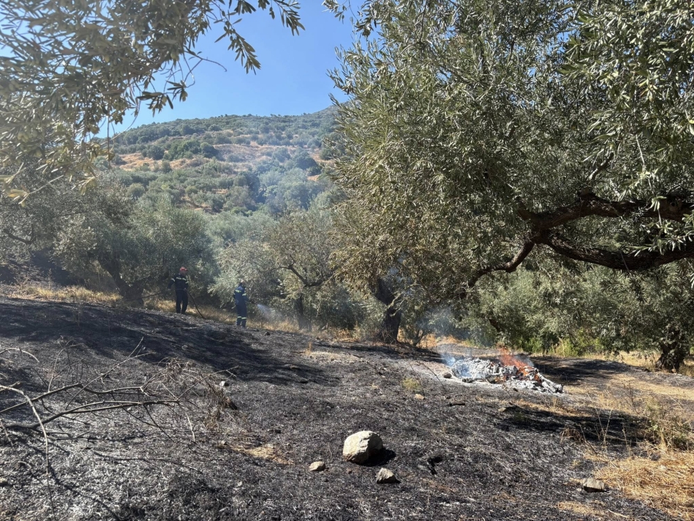 Νέα φωτιά εκδηλώθηκε στα Λειβάδια Μονεμβασίας