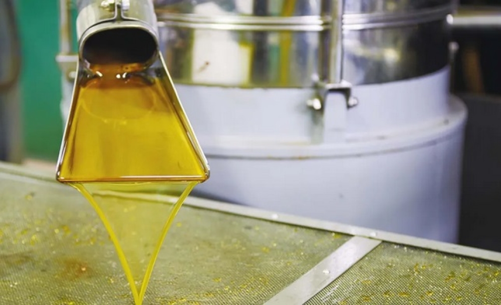 Κρατά τα ηνία η Λακωνία στο ελαιόλαδο