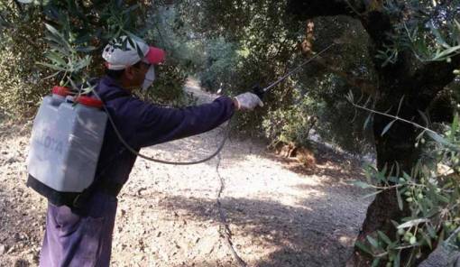 &Psi;&epsilon;&kappa;ά&zeta;&omicron;&upsilon;&nu; &gamma;&iota;&alpha; &tau;&omicron;&nu; &delta;ά&kappa;&omicron; &sigma;&epsilon; &Kappa;&rho;&omicron;&kappa;&epsilon;έ&sigmaf; &kappa;&alpha;&iota; &Delta;&alpha;&phi;&nu;ί