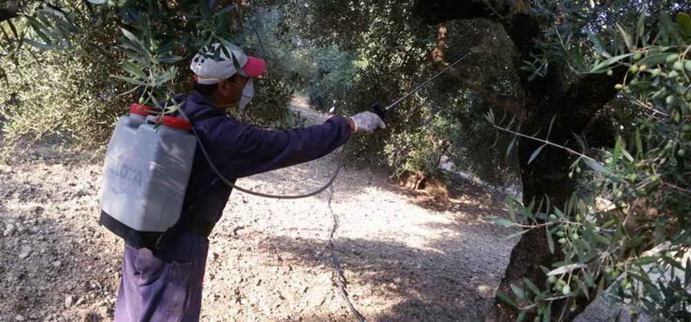 &Psi;&epsilon;&kappa;ά&zeta;&omicron;&upsilon;&nu; &gamma;&iota;&alpha; &tau;&omicron;&nu; &delta;ά&kappa;&omicron; &sigma;&epsilon; &Kappa;&rho;&omicron;&kappa;&epsilon;έ&sigmaf; &kappa;&alpha;&iota; &Delta;&alpha;&phi;&nu;ί