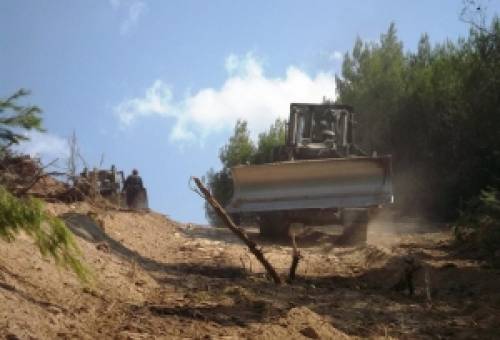 Πάει Πράσινο Ταμείο για αντιπυρικές ζώνες ο Δ. Σπάρτης