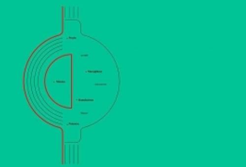 Πρεμιέρα τον Αύγουστο για το Φεστιβάλ Ερασιτεχνικού Θεάτρου