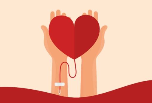 Ημέρα αιμοδοσίας στο Mystras Grand Palace