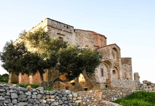 Η μνημειακή ελιά της Μονεμβασίας αποκτά επίσημη σήμανση