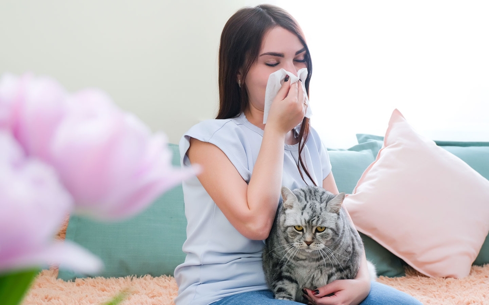 Αλλεργία στις γάτες: Πως να τη διαχειριστείτε χωρίς να αποχωριστείτε τη γάτα σας
