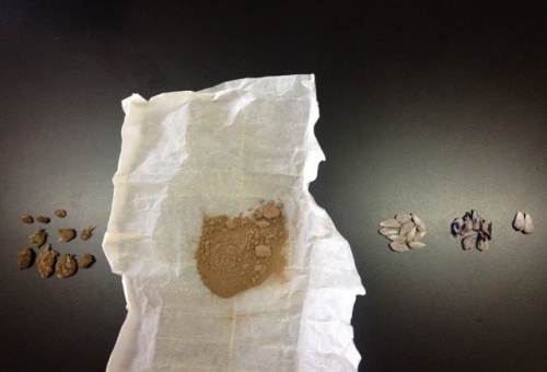 Ηρωίνη και χασίς σε σπίτι στη Μονεμβασιά