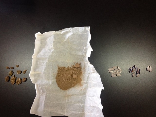 &Eta;&rho;&omega;ί&nu;&eta; &kappa;&alpha;&iota; &chi;&alpha;&sigma;ί&sigmaf; &sigma;&epsilon; &sigma;&pi;ί&tau;&iota; &sigma;&tau;&eta; &Mu;&omicron;&nu;&epsilon;&mu;&beta;&alpha;&sigma;&iota;ά