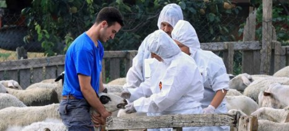 &Epsilon;&pi;ί&delta;&omicron;&mu;&alpha; &epsilon;&pi;&iota;&kappa;ί&nu;&delta;&upsilon;&nu;&eta;&sigmaf; &kappa;&alpha;&iota; &alpha;&nu;&theta;&upsilon;&gamma;&iota;&epsilon;&iota;&nu;ή&sigmaf; &epsilon;&rho;&gamma;&alpha;&sigma;ί&alpha;&sigmaf; &gamma;&iota;&alpha; &tau;&omicron;&upsilon;&sigmaf; &kappa;&tau;&eta;&nu;&iota;ά&tau;&rho;&omicron;&upsilon;&sigmaf; &tau;&omega;&nu; &Pi;&epsilon;&rho;&iota;&phi;&epsilon;&rho;&epsilon;&iota;ώ&nu;