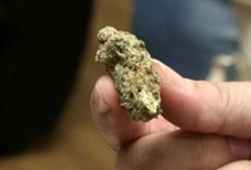 Σύλληψη 24χρονου στο Γύθειο για κατοχή κάνναβης