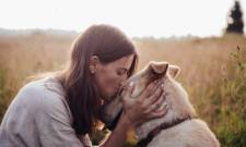 Το δικό σας σχόλιο: Απάντηση περί κυνοφιλίας