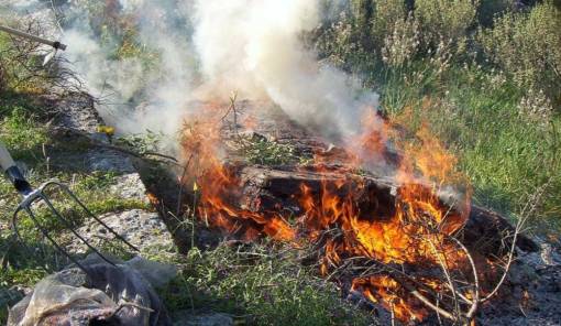 Μέτρα που πρέπει να τηρούνται για την καύση υπολειμμάτων καλλιεργειών