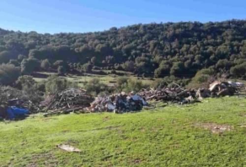 Εξουδετέρωσε τοξικές «βόμβες» σε Καρυές και Καλλονή ο Δ. Σπάρτης