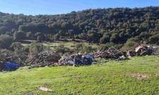 Εξουδετέρωσε τοξικές «βόμβες» σε Καρυές και Καλλονή ο Δ. Σπάρτης