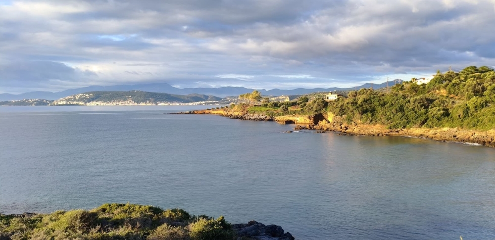 Ά&kappa;&alpha;&rho;&pi;&epsilon;&sigmaf; &omicron;&iota; έ&rho;&epsilon;&upsilon;&nu;&epsilon;&sigmaf; &gamma;&iota;&alpha; &tau;&omicron;&nu; &alpha;&gamma;&nu;&omicron;&omicron;ύ&mu;&epsilon;&nu;&omicron; &psi;&alpha;&rho;ά &sigma;&tau;&alpha; &Tau;&rho;ί&nu;&eta;&sigma;&alpha;