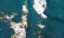 Σφοδρή χαλαζόπτωση έπληξε ελαιοκαλλιέργειες στον Δήμο Μονεμβασίας