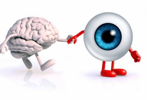 Η επίδραση της όρασης στην ανάπτυξη του ανθρώπου