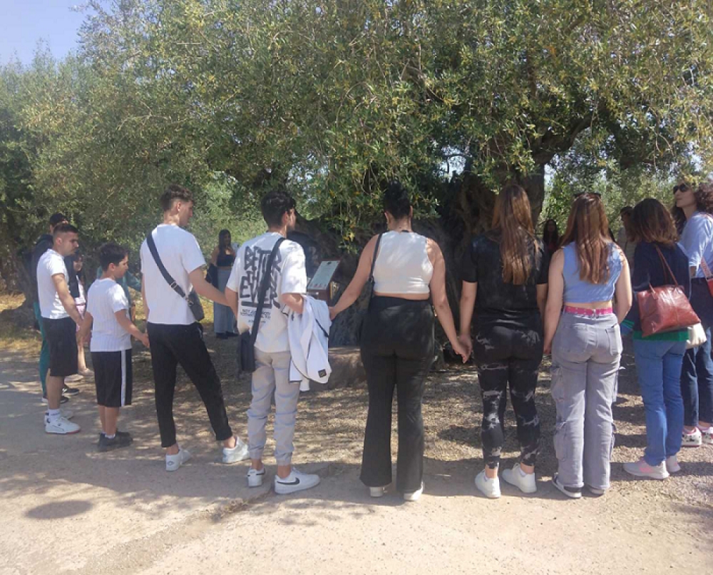 &Tau;&omicron; &Epsilon;&Pi;&Alpha;&Lambda; &Mu;&omicron;&lambda;ά&omega;&nu; &laquo;&pi;&rho;&epsilon;&sigma;&beta;&epsilon;&upsilon;&tau;ή&sigmaf;&raquo; &tau;&eta;&sigmaf; &upsilon;&pi;&epsilon;&rho;&alpha;&iota;&omega;&nu;ό&beta;&iota;&alpha;&sigmaf; &epsilon;&lambda;&iota;ά&sigmaf; &tau;&eta;&sigmaf; &Alpha;&pi;&iota;&delta;&iota;ά&sigmaf;