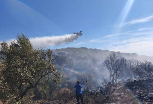 Υπό έλεγχο η φωτιά στην Ελιά Μονεμβασίας