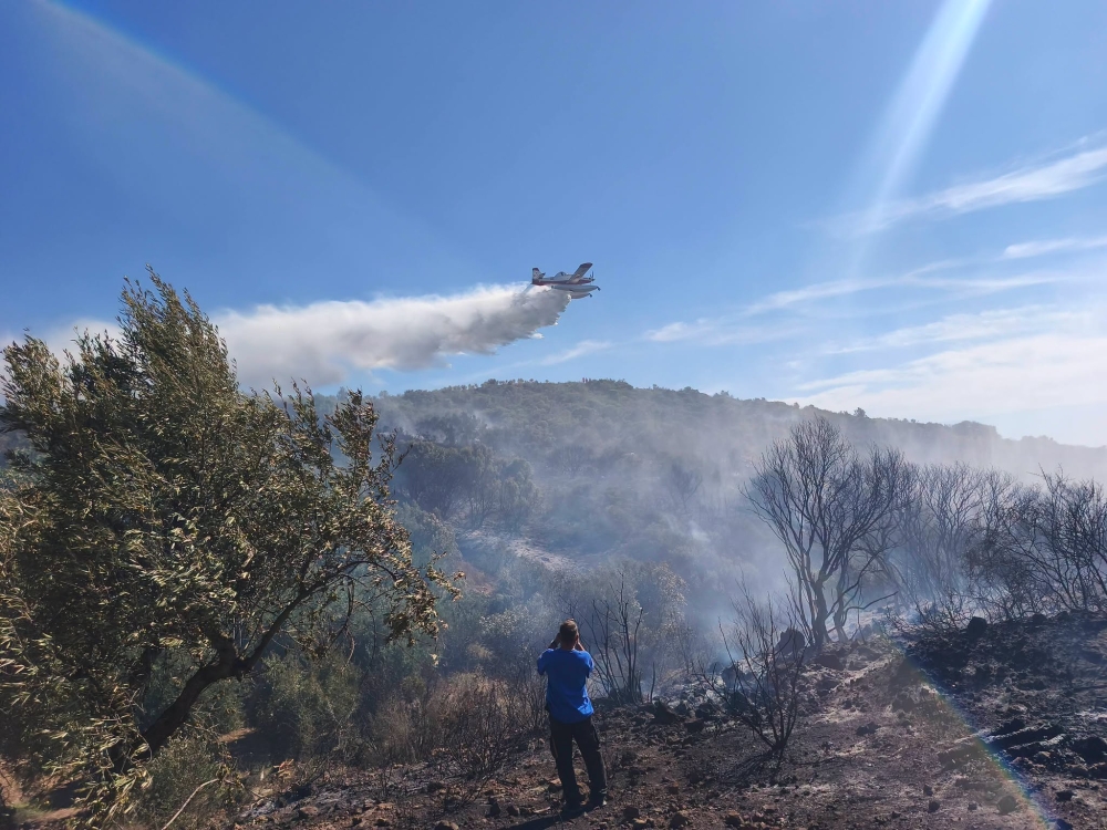 &Upsilon;&pi;ό έ&lambda;&epsilon;&gamma;&chi;&omicron; &eta; &phi;&omega;&tau;&iota;ά &sigma;&tau;&eta;&nu; &Epsilon;&lambda;&iota;ά &Mu;&omicron;&nu;&epsilon;&mu;&beta;&alpha;&sigma;ί&alpha;&sigmaf;