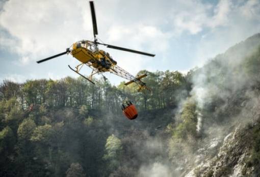 Αισθητήρες βοηθούν στην ανίχνευση δασικών πυρκαγιών στη Γερμανία
