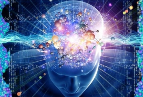 Διατροφικές συνήθειες και σωματικό λίπος «αλλάζουν» το μυαλό